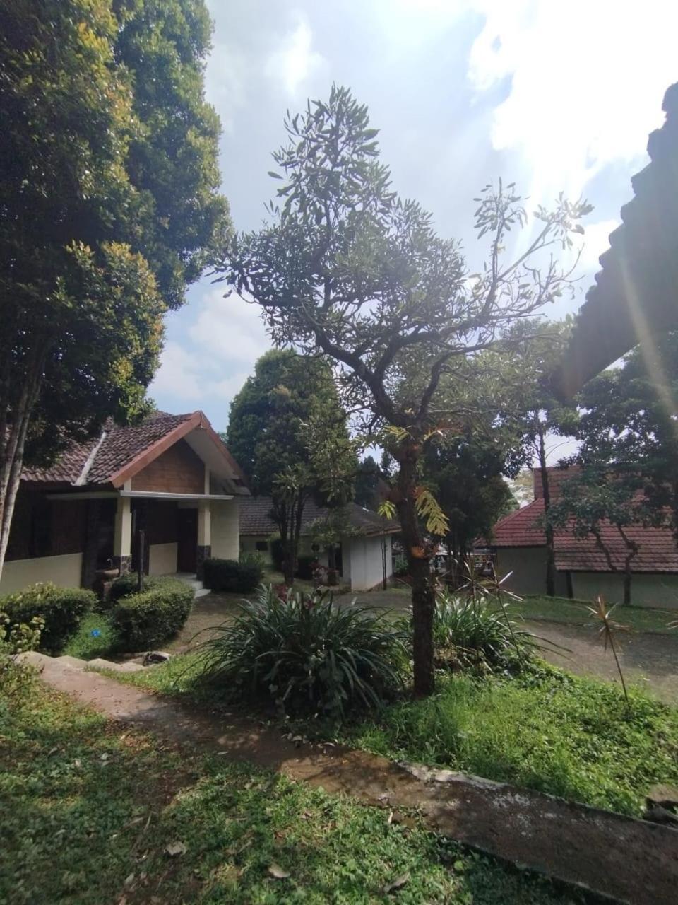Forest Resort & Onsen Claket Εξωτερικό φωτογραφία